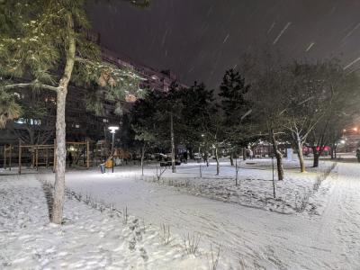 Прикрепленное изображение: 2022-03-10 21-07-53-1.JPG